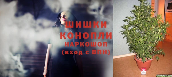 прущие грибы Армянск