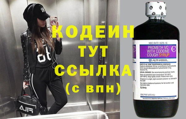 прущие грибы Армянск