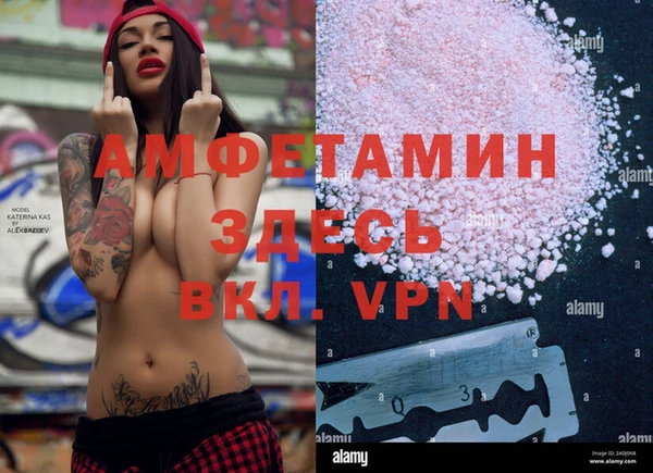 прущие грибы Армянск