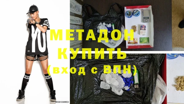 прущие грибы Армянск