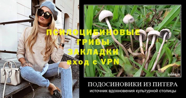 прущие грибы Армянск